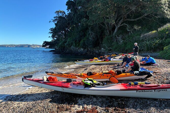 Tiritiri Matangi Sea Kayak Tour - A Full-Day Paddle into Nature’s Playground