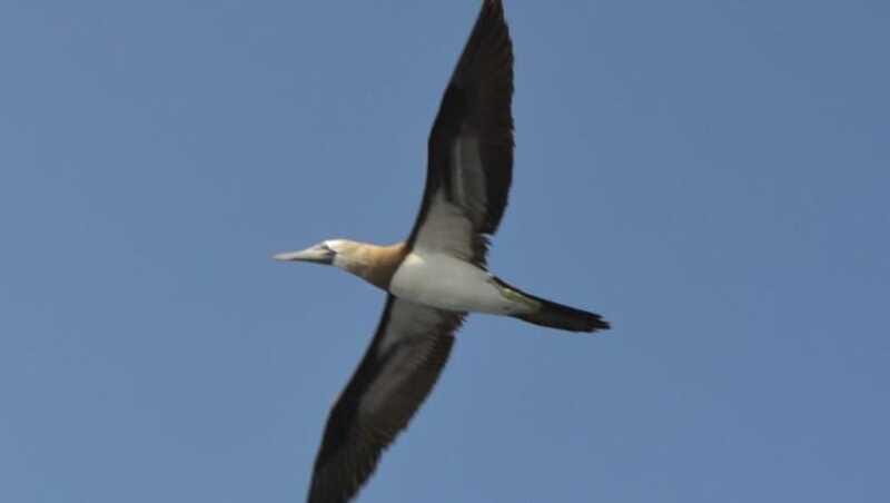 Title: Puerto Vallarta: Marietas Island Adventure - What’s Included and What’s Not