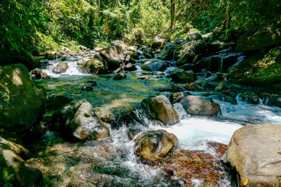 Tiu Kelep and Sendang Gile Waterfall Trekking Tour - Hike to Sendang Gile Waterfall