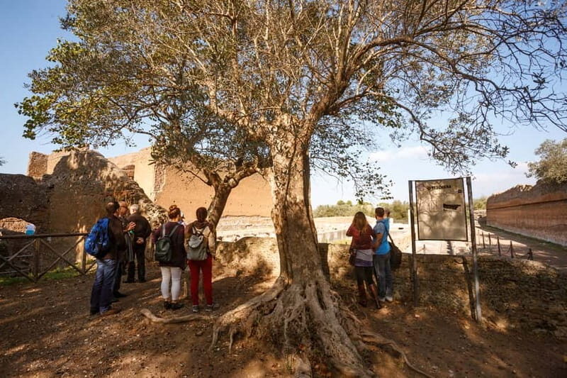 Tivoli: Entrance Ticket to Villa Adriana & App Audioguide - Authentic Visitor Experiences