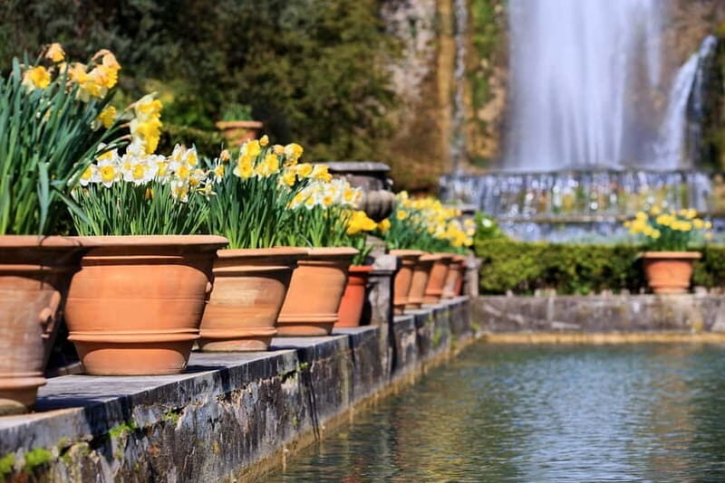 Tivoli: Villa D'Este Entry Ticket and App Audio Guide - The Sum Up: Is Villa dEste Worth It?