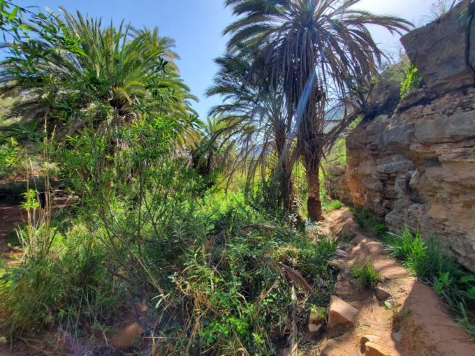 Tizgui Valley Half Day Guided Tour Including Hotel Pickup - Hidden Swimming Pools