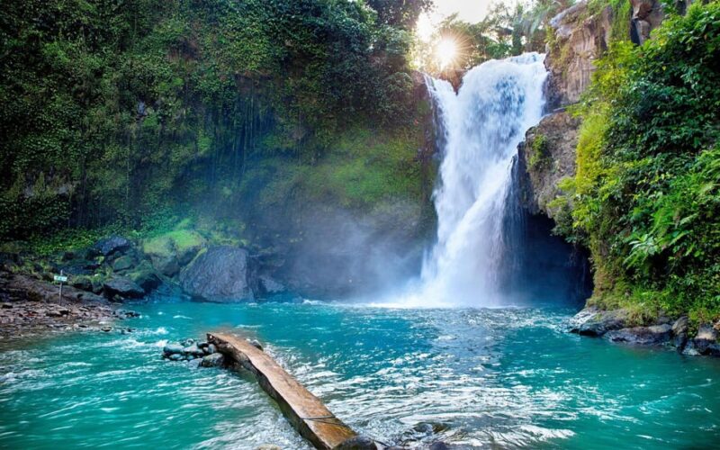Tlaga Singha Ubud Infinity Pool+Monkey Forest + Water Fall - Restrictions and Important Information