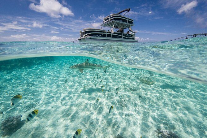 Toa Boat Bora Bora Private Lagoon tour On Ambassador Boat - FAQs