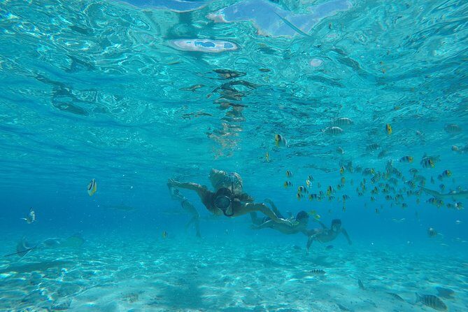 Toa Boat Bora Bora Private Lagoon Tour On Entertainer Bar Boat - What Makes This Tour Stand Out?