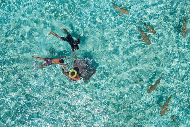 Toa Boat Bora Bora Private Lagoon tour On Majestic Pontoon Boat - Authentic Experiences and Reviews