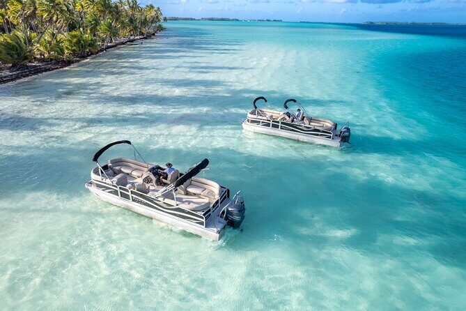 Toa Boat Bora Bora Private Lagoon tour On Majestic Pontoon Boat - Practical Tips for Booking