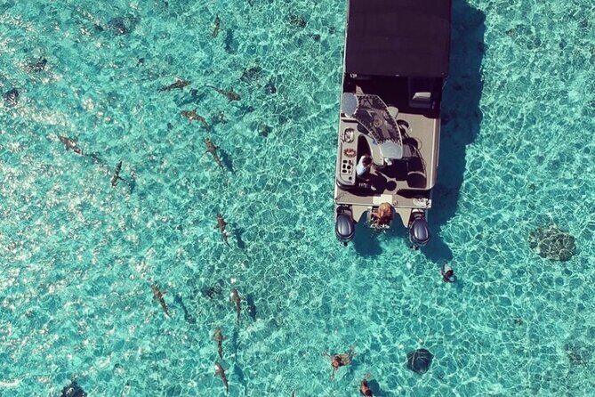 Toa Boat Bora Bora Private Lagoon tour with Lunch on Entertainer Bar Boat - Practical Details: Transportation, Timing, and Participation