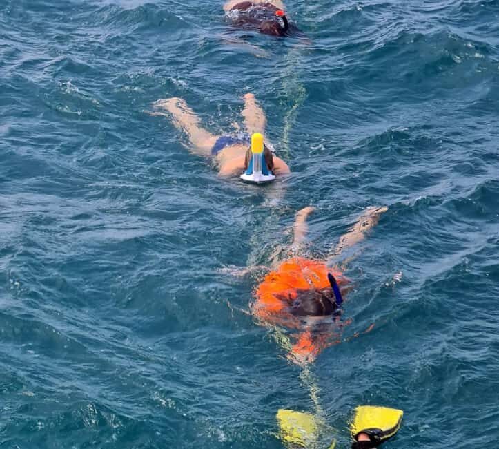 Tobago: Buccoo Reef and Nylon Pool Boat Tour with Transfer - Key Points