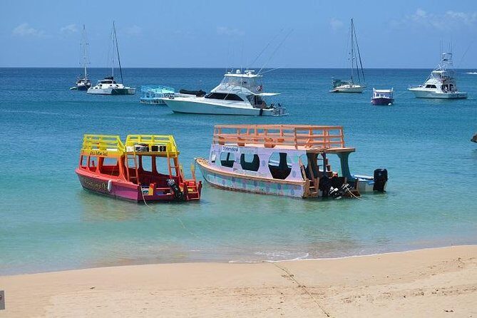 Tobago Buccoo Reef Glass Bottom Boat Cruise and Island Sightseeing Tour - A Detailed Look at the Tour Experience