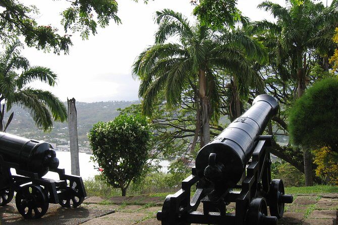 Tobago Buccoo Reef Glass Bottom Boat Cruise and Island Sightseeing Tour - FAQ