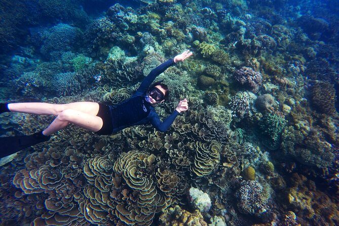 Tobago Buccoo Reef Glass Bottom Boat Tour - Honest Feedback from Travelers