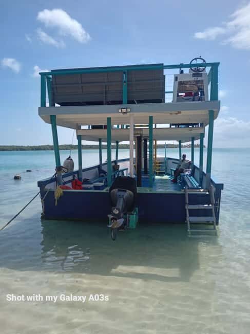 Tobago: Buccoo Reef Marine Park Glass Bottom Boat Tour - Key Points