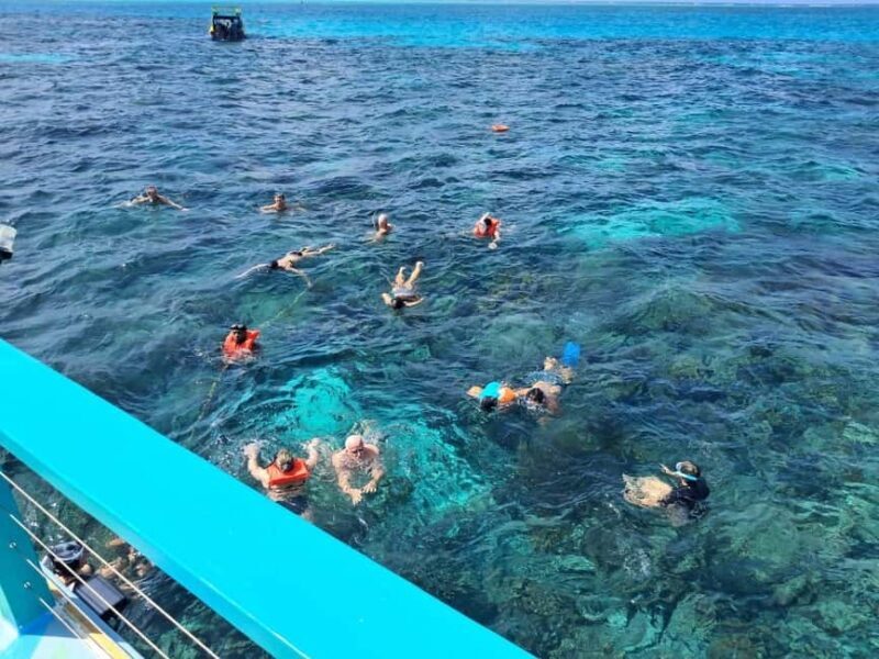 Tobago: Buccoo Reef Marine Park Glass Bottom Boat Tour - A Detailed Look at the Buccoo Reef Marine Park Glass Bottom Boat Tour