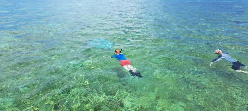 Tobago: Coral Reef Boat Tour with BBQ and Transfer - The Value Proposition