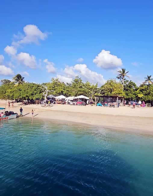 Tobago: Coral Reef Boat Tour with BBQ and Transfer - Who Should Consider This Tour?
