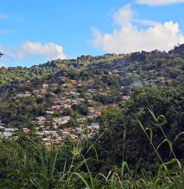 Tobago: Full Day Atlantic Coast Tour with Lunch - FAQ