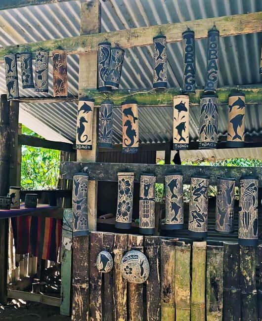 Tobago: Half Day Atlantic Coast Tour with Transfer - Key Points