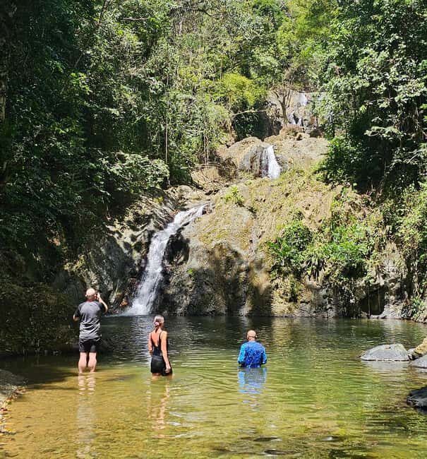 Tobago: Half Day Atlantic Coast Tour with Transfer - What to Expect at Each Stop