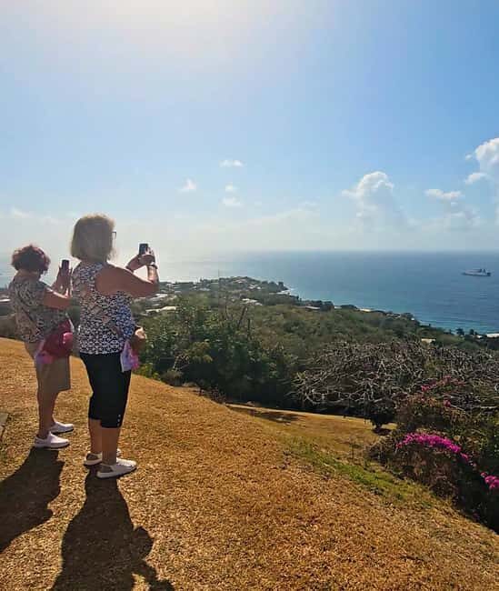 Tobago: Half Day Atlantic Coast Tour with Transfer - Transportation and Group Size