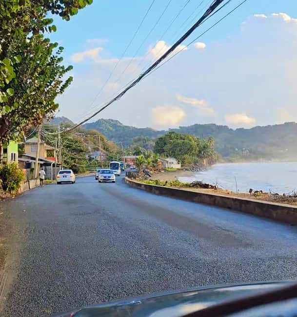 Tobago: Half Day Atlantic Coast Tour with Transfer - Who Will Love This Tour?