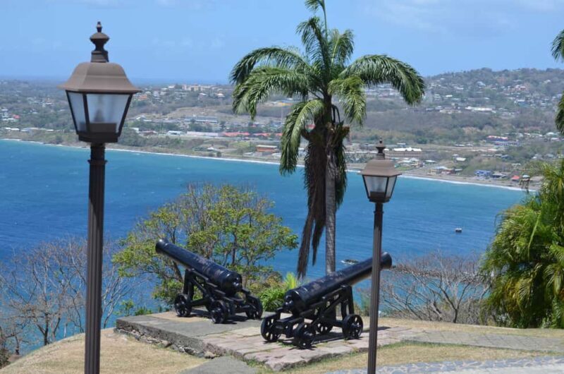 Tobago: Half-Day Highlights Tour - Key Points