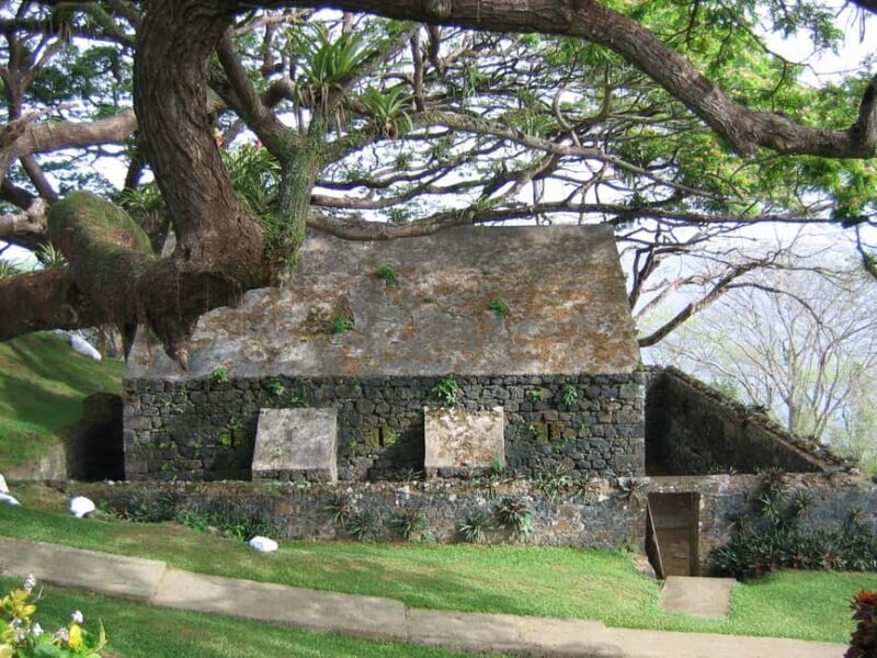 Tobago: Half-Day Highlights Tour - A Closer Look at the Tobago Half-Day Highlights Tour