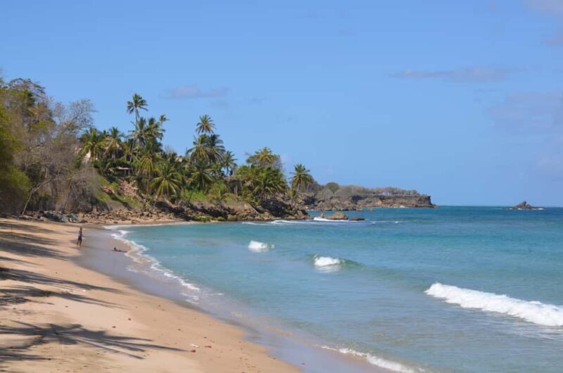 Tobago: Half-Day Highlights Tour - Practical Tips for Tour Participants