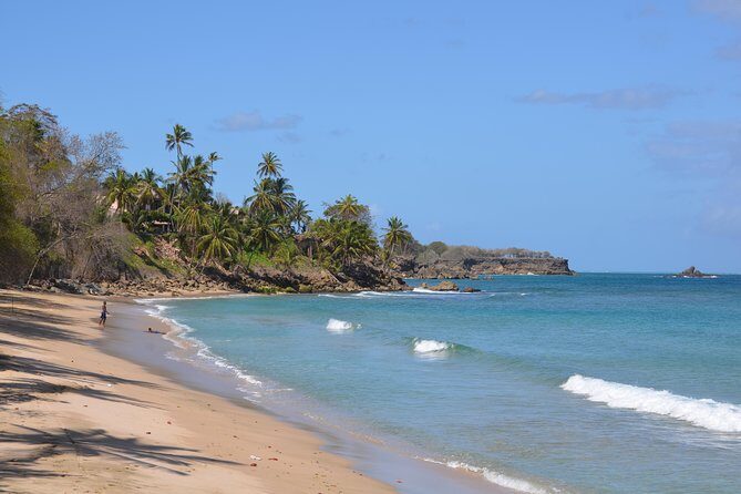 Tobago Island Tour - Key Points
