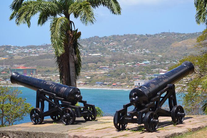 Tobago Island Tour - Why You’ll Love It