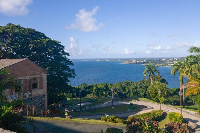 Tobago Island Tour - Key Points