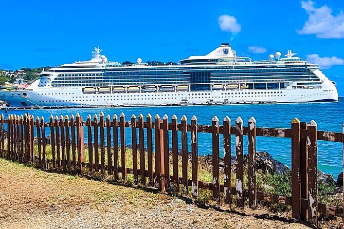 Tobago Island Tour - Who Should Consider This Tour?