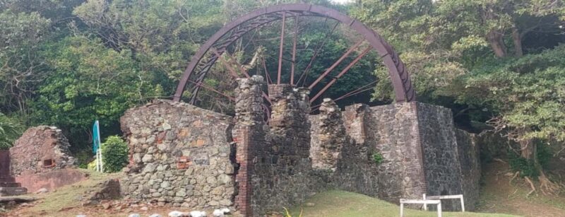 Tobago: Island Tour with Lunch and Hotel Pickup - Key Points