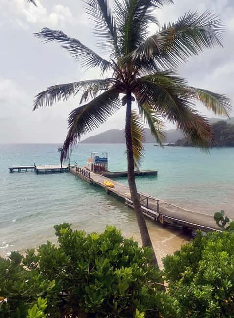 Tobago: Little Tobago Bird Sanctuary Visit and Boat Tour - An All-in-One Nature Tour on Tobago: What You’ll Experience