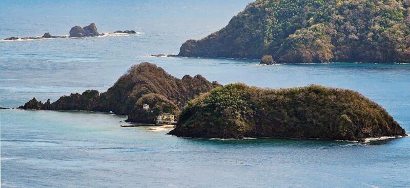 Tobago: Little Tobago Bird Sanctuary Visit and Boat Tour - What the Critics Say: Authentic Experiences and Good Value