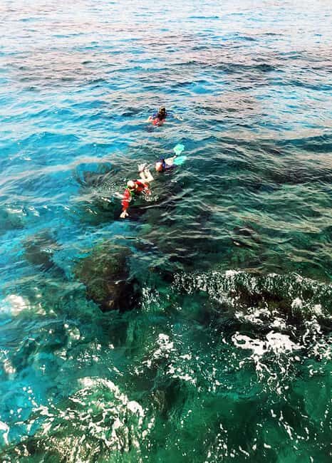 Tobago: Little Tobago Bird Sanctuary Visit and Boat Tour - Final Thoughts: Who Should Consider This Tour?