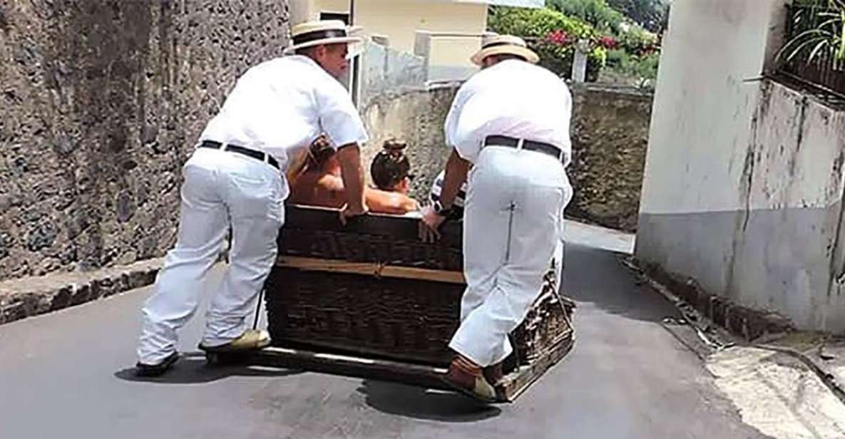 Toboggan Ride & Madeira Wine Tasting Tour - Pickup and Drop-off