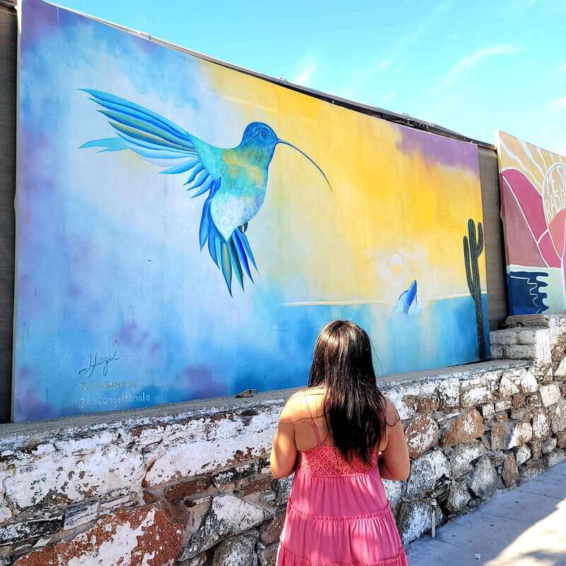 Todos Santos: Art & Culture Experience by Mexican Artist - A Closer Look at the Itinerary and Experience