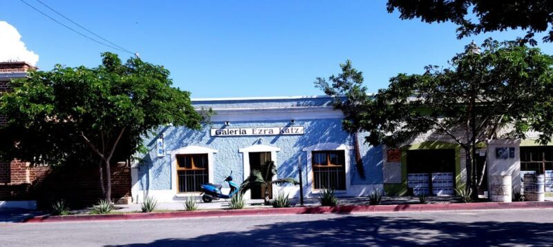 Todos Santos: Art & Culture Experience by Mexican Artist - Authenticity and Local Flavor