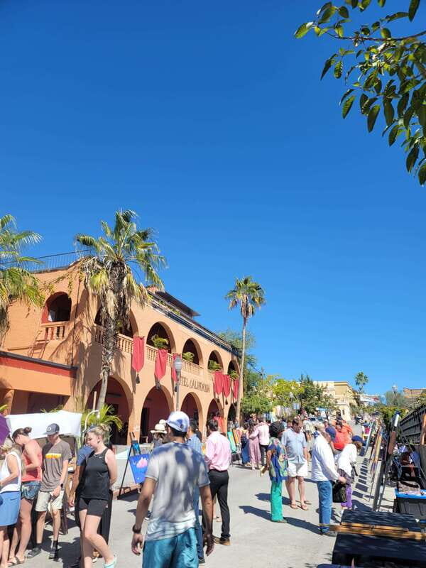 Todos Santos: Art & Culture Experience by Mexican Artist - FAQ