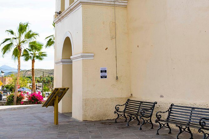 Todos Santos City Tour - An Authentic Day in Baja: The Overall Experience