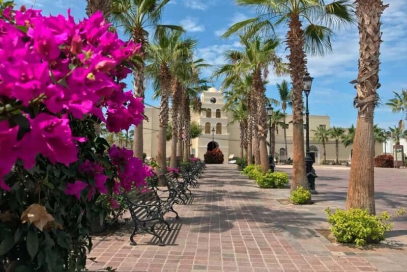 Todos Santos Encounter Tour - Key Points