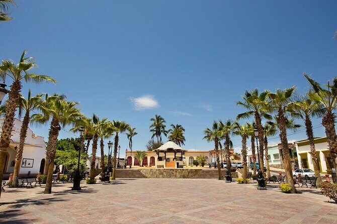 Todos Santos Private 6 hrs 1-08 paxs - What the Tour Offers: A Closer Look