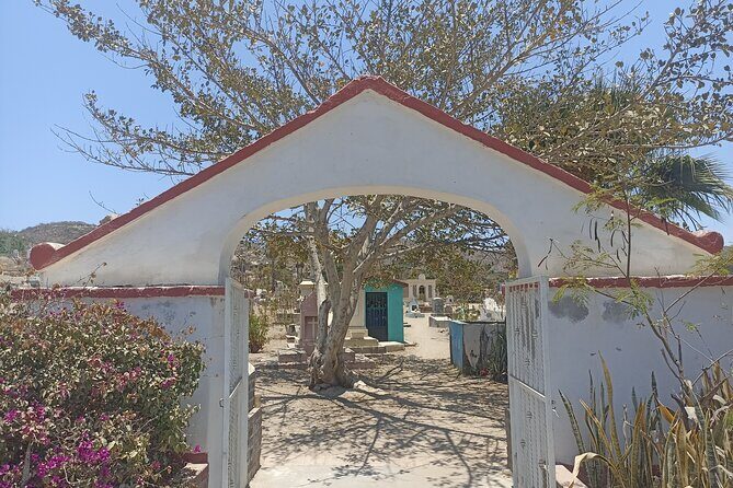 Todos Santos Treasure Hunt - Who Should Consider This Tour?