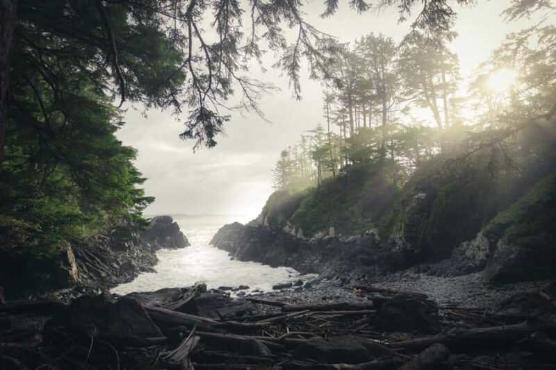 Tofino: Hot Springs Cove Tour with Wildlife Cruise - Key Points