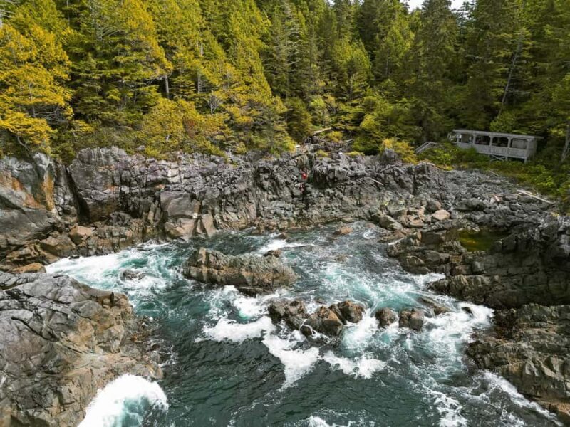Tofino: Hot Springs Cove Tour with Wildlife Cruise - Authentic Traveler Perspectives