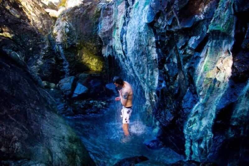 Tofino: Hot Springs Cove Tour with Wildlife Cruise - The Sum Up