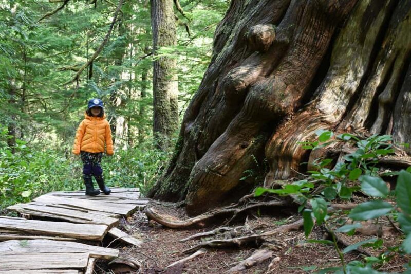 Tofino: Private Boat Tour with Big Tree Trail & Crabbing - The Authentic Charm of This Tour