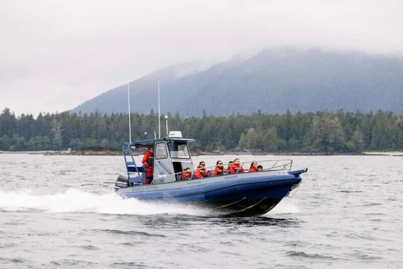 Tofino: Whale Watching Tour with Nature Guide - Starting Point and Logistics