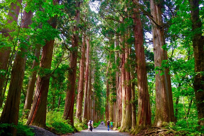 Togakushi Shrine Hiking Trails Tour With Soba in Nagano - Health and Safety Considerations